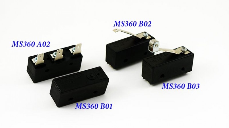 MS360