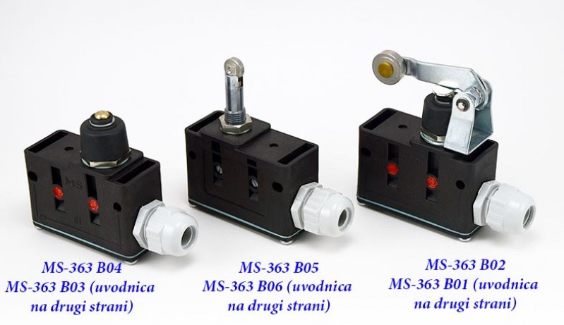 MS363